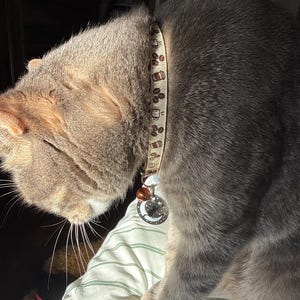 Zully added a photo of their purchase