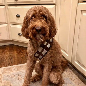 chewbacca dog belt