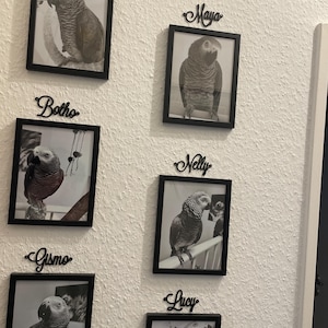Vanessa added a photo of their purchase