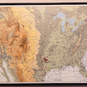 Steve added a photo of their purchase