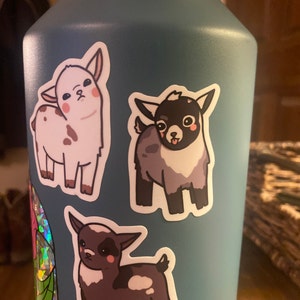 Erica added a photo of their purchase