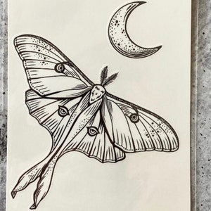 Luna moth Vector Art Stock Images  Depositphotos