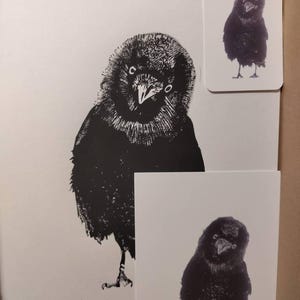 Edo added a photo of their purchase