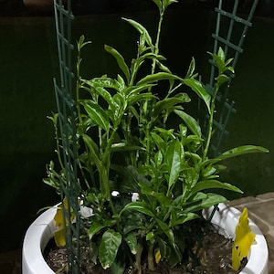 Christy added a photo of their purchase