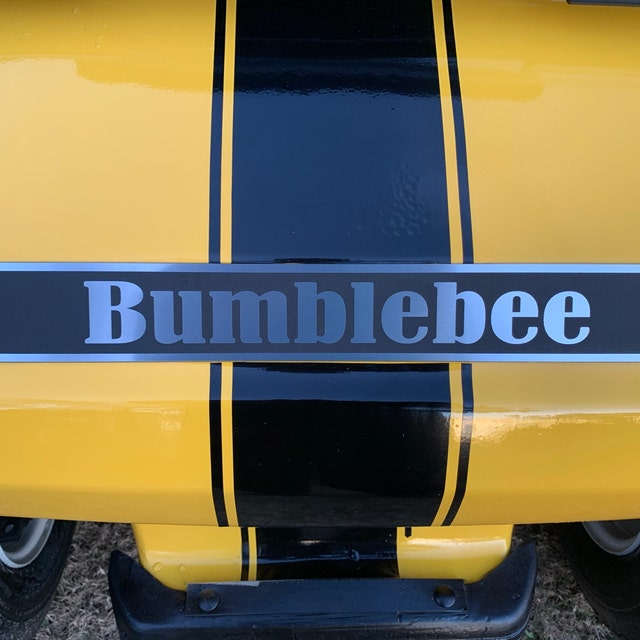 Upgrade Your Club Car DS with a Unique Golf Cart Emblem - Personalized  engraved and measuring 17-3/4 inches by 2-1/4 inches