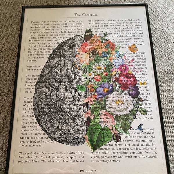 Brain Art Flower Anatomy Print, Psychology, Neurologist Gift ...