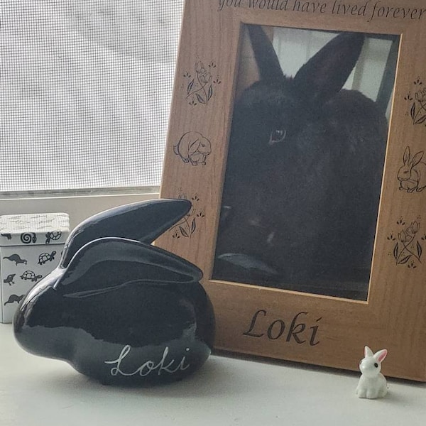 Rabbit Urn Bunny Ashes Casket - Etsy