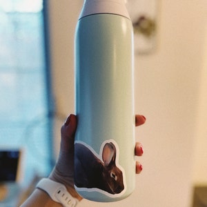 Ariel added a photo of their purchase