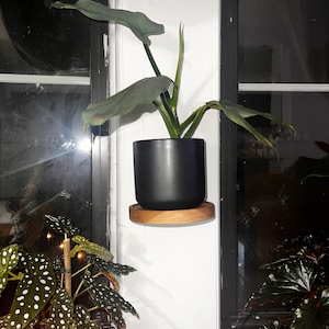Paz added a photo of their purchase