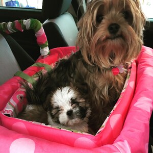 Stephanie added a photo of their purchase