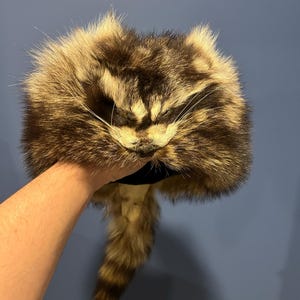 David added a photo of their purchase