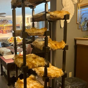 Dolores added a photo of their purchase