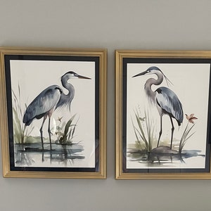 Diane added a photo of their purchase
