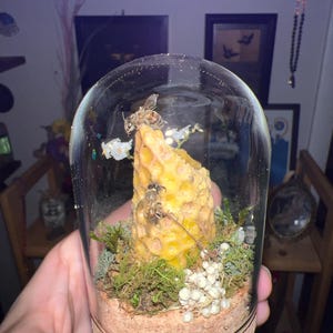 Jeff added a photo of their purchase