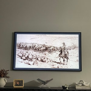 Shelby heeft een foto van de aankoop toegevoegd