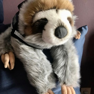 Kelly added a photo of their purchase