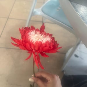 Micah added a photo of their purchase