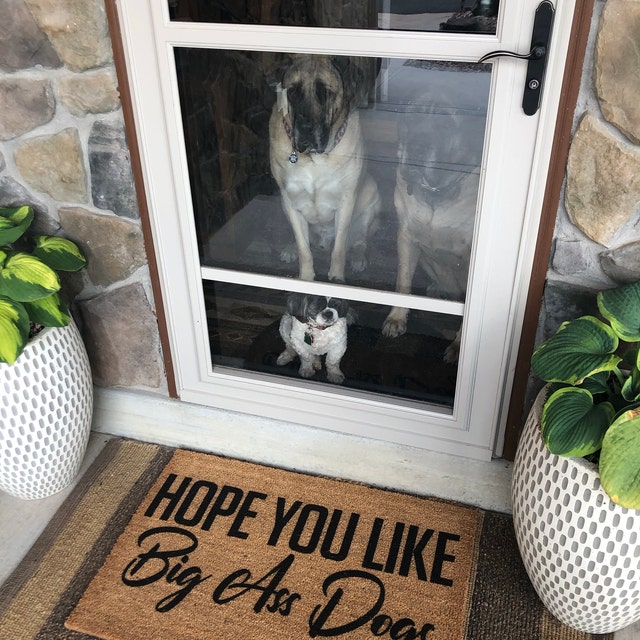 Labrador Retrievers Hope You Like Big Ass Dogs Doormat Labrador Retriever Dog Lovers Home Decorative Welcome Doormat 18x30 Inch