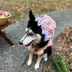Lauren added a photo of their purchase