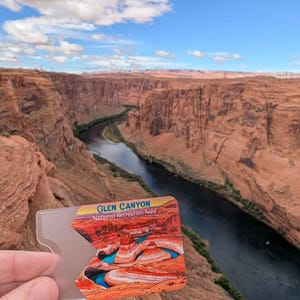 Sarah added a photo of their purchase