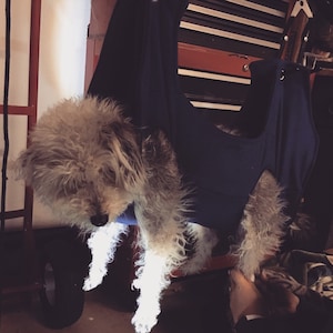 dog grooming hammock diy