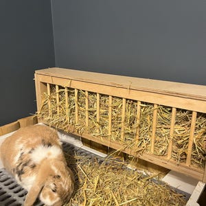 Daniel added a photo of their purchase