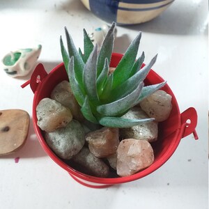 Meg added a photo of their purchase