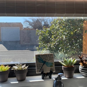 Lorelei added a photo of their purchase