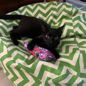 Melody added a photo of their purchase