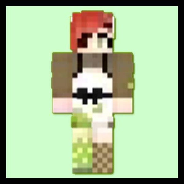 Custom Minecraft Skin - Etsy