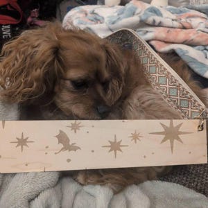 Rachel added a photo of their purchase