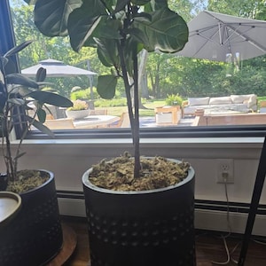 Renee さんが購入した商品の写真を追加しました