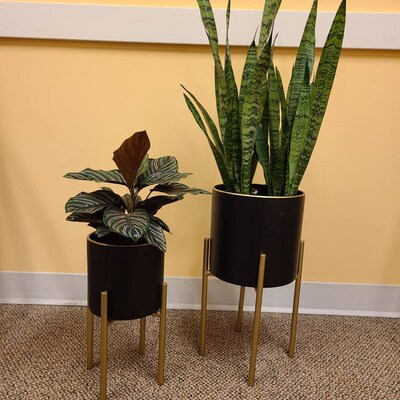 Set 3 Large Metal Black Planters With Gold Stand Metal - Etsy