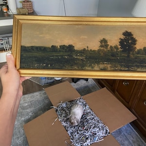 Madeline added a photo of their purchase