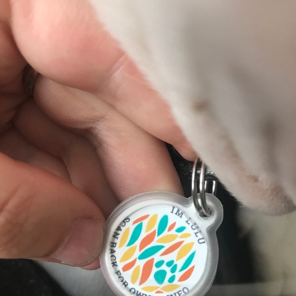 silent-cat-id-tag-qr-code-personalized-qr-code-cat-kitten-id-tag