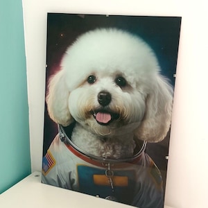 Kevin added a photo of their purchase