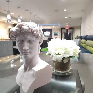 ミケランジェロのダビデ像 - 美術館品質のレプリカ - 大理石複合彫刻