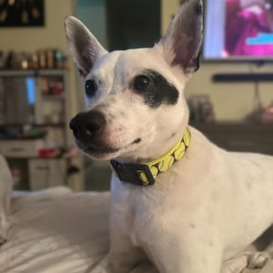 Kayla added a photo of their purchase