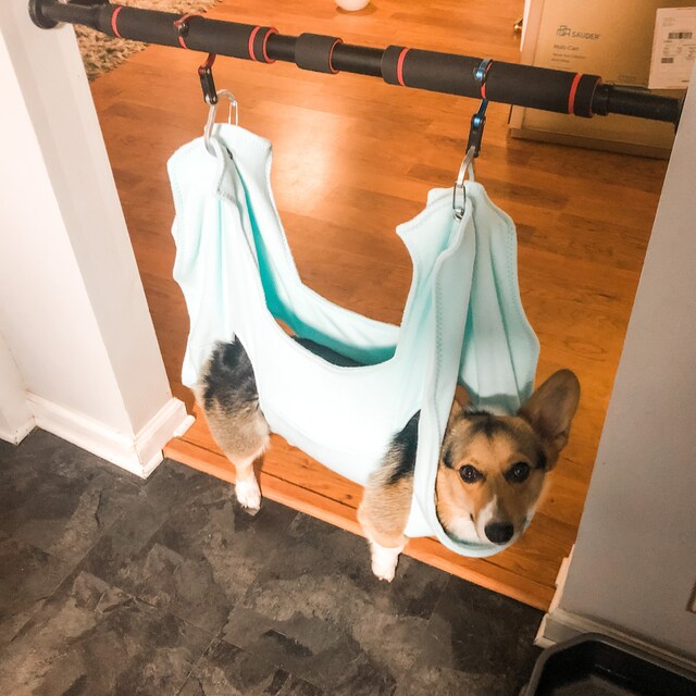 Grooming hammock. Nail trimming and grooming made by GROOMINTHINGS