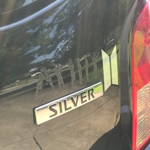 Beth added a photo of their purchase