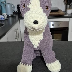 Sue added a photo of their purchase