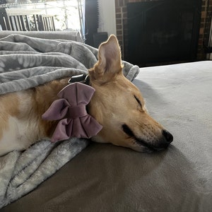 Belle added a photo of their purchase