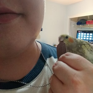 休止中アカウント さんが購入した商品の写真を追加しました