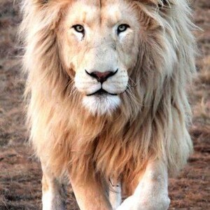 Josie added a photo of their purchase