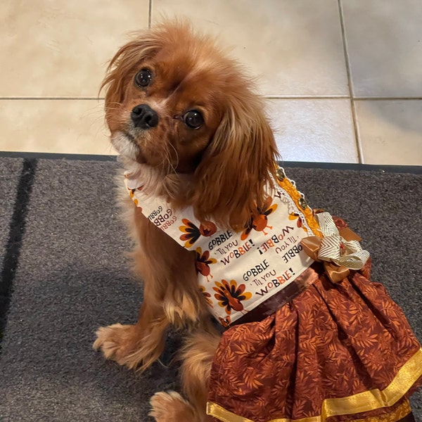 2025 Christmas in July Dog Dress With Ruffle / With Sleeves or Sleeveless (Available in any pattern)