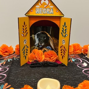 Nancy added a photo of their purchase