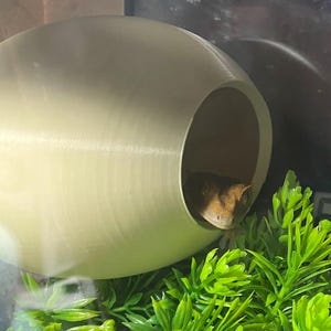 Becky added a photo of their purchase