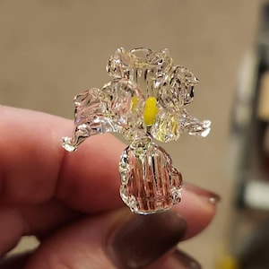 Sue added a photo of their purchase