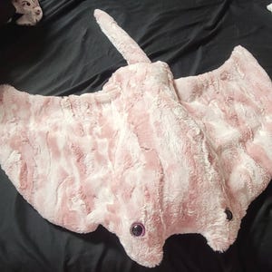 Amber さんが購入した商品の写真を追加しました