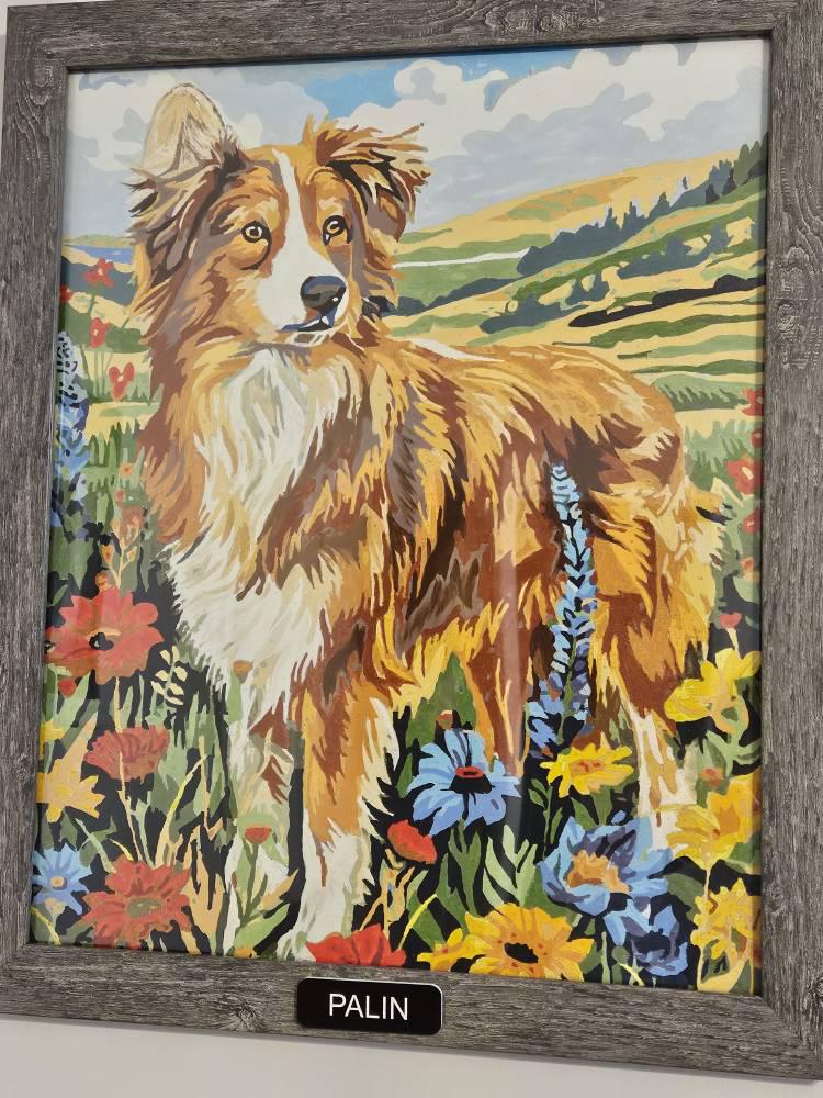 Customer photo